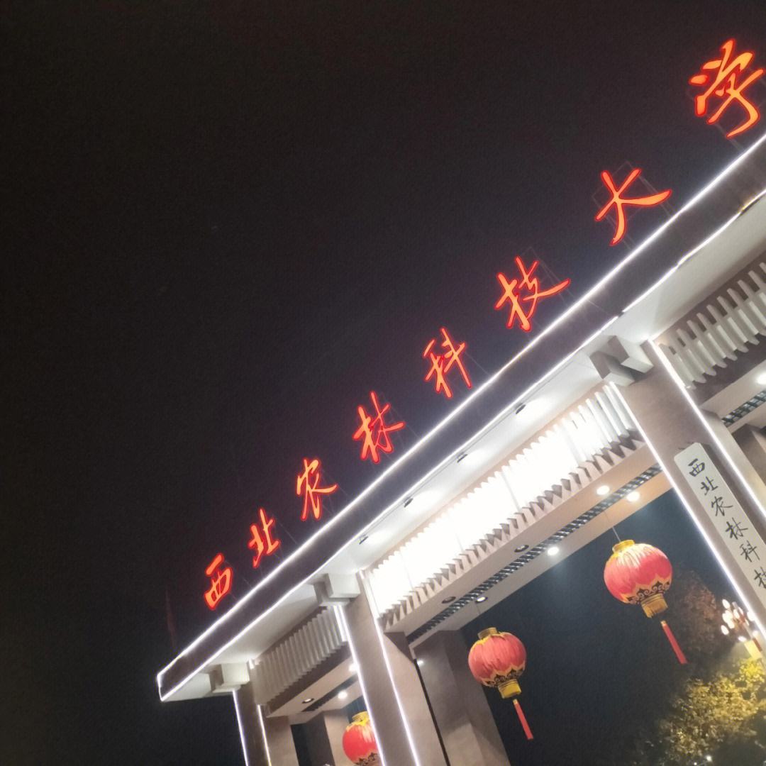 西北农林科技大学在哪个城市