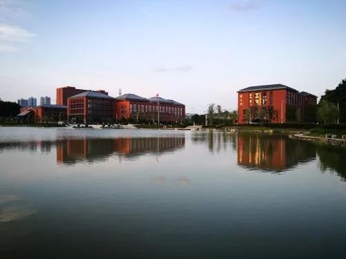 贵州大学毕业证编号是多少位