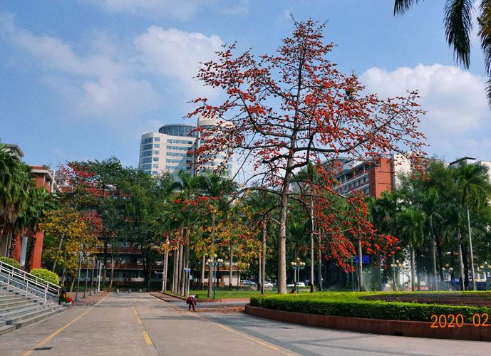 暨南大学全国排名
