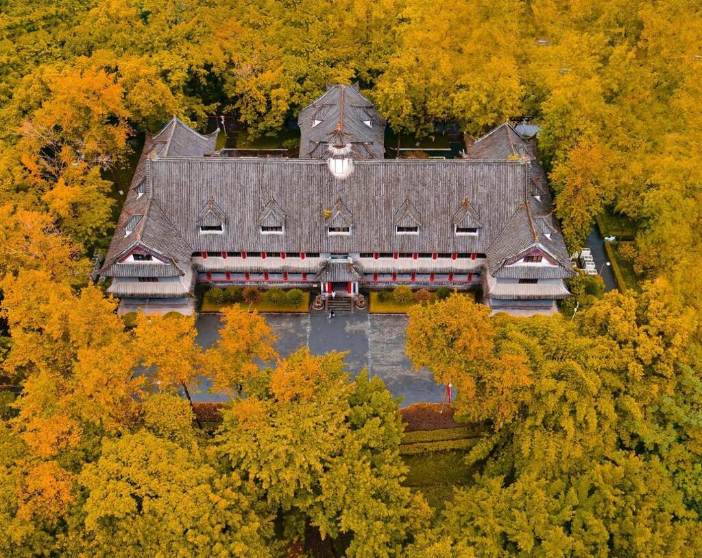 重庆大学是985还是211